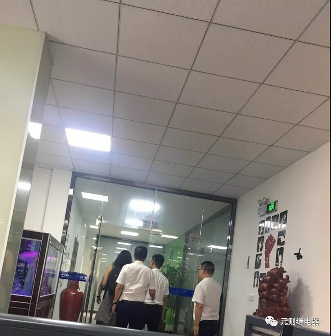勢不可擋|國內(nèi)外客戶千里迢迢親臨元?jiǎng)t繼電器參觀考察！